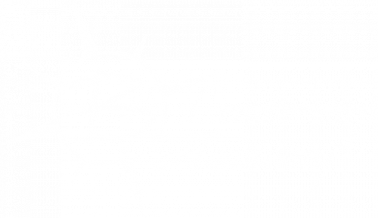 BW Leadership Academy Logo
